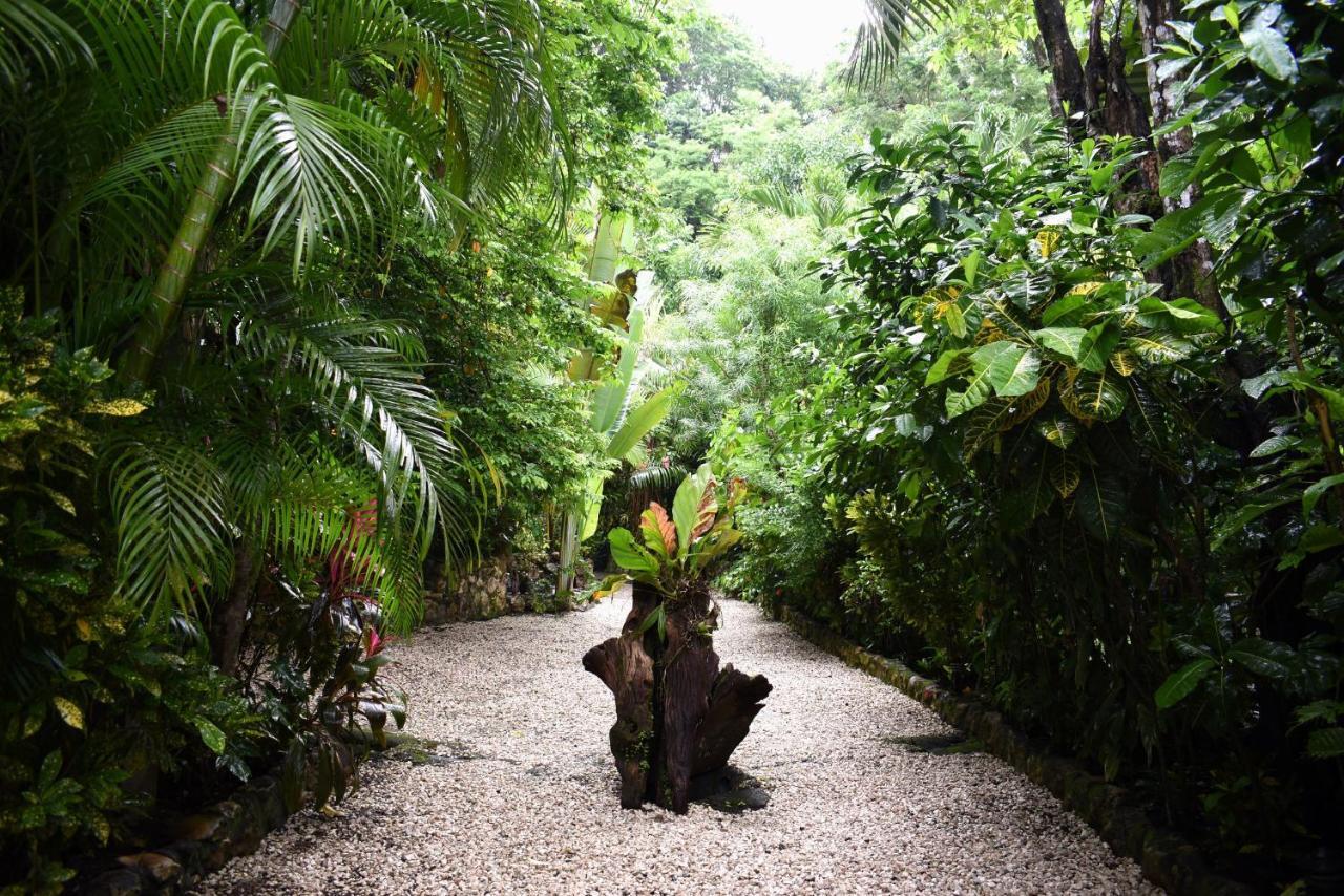 Pachamama Lodge Playa Santa Teresa  Dış mekan fotoğraf